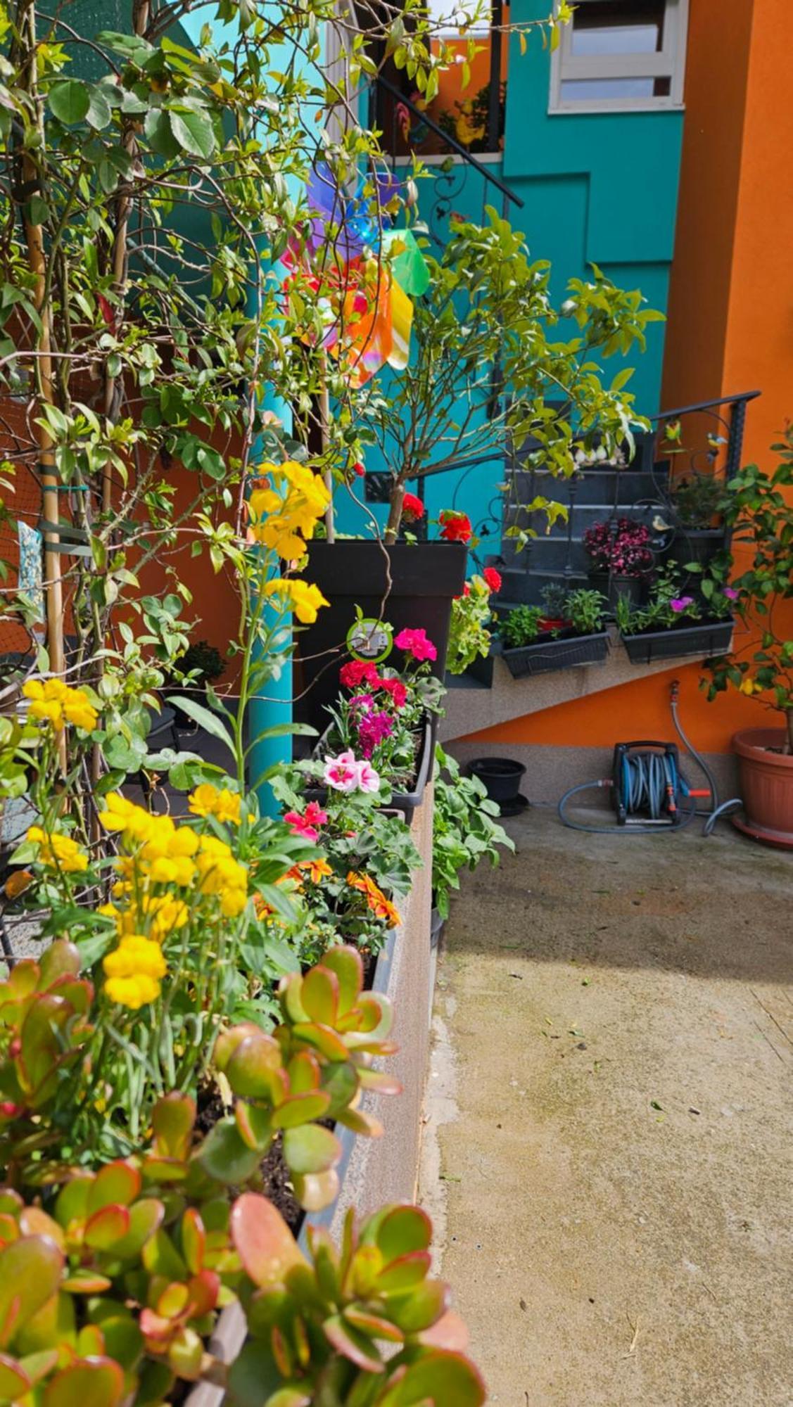 Mexicana Apartment Yellow Zadar Luaran gambar